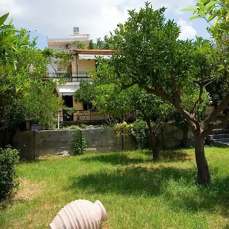 Soile Georgia *