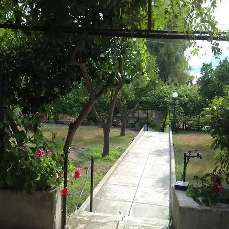 Soile Georgia * Loutra Edipsou (Evia)